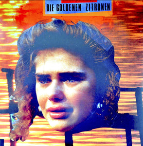 LP + DVD " SCHAFOTT ZUM FAHRSTUHL"